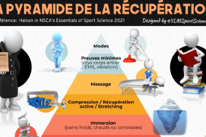 Zoom sur la Pyramide de la Récupération